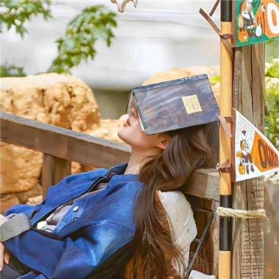最后的教父 在线观看