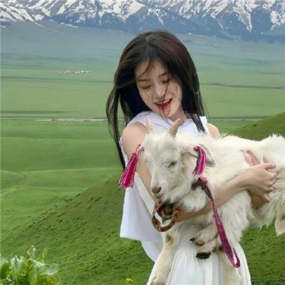 新扎老师 在线观看